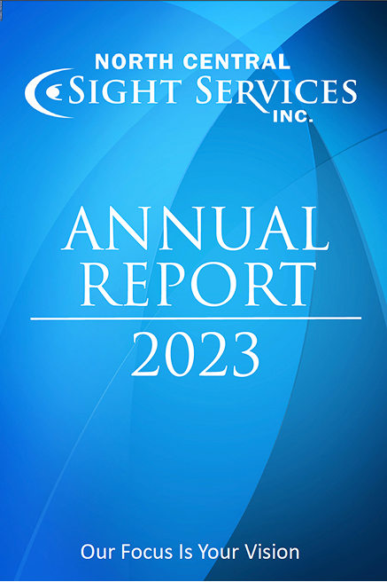 Preview of NCSS Annual Report 2023