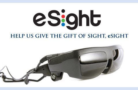 Setting Our Sights on eSight